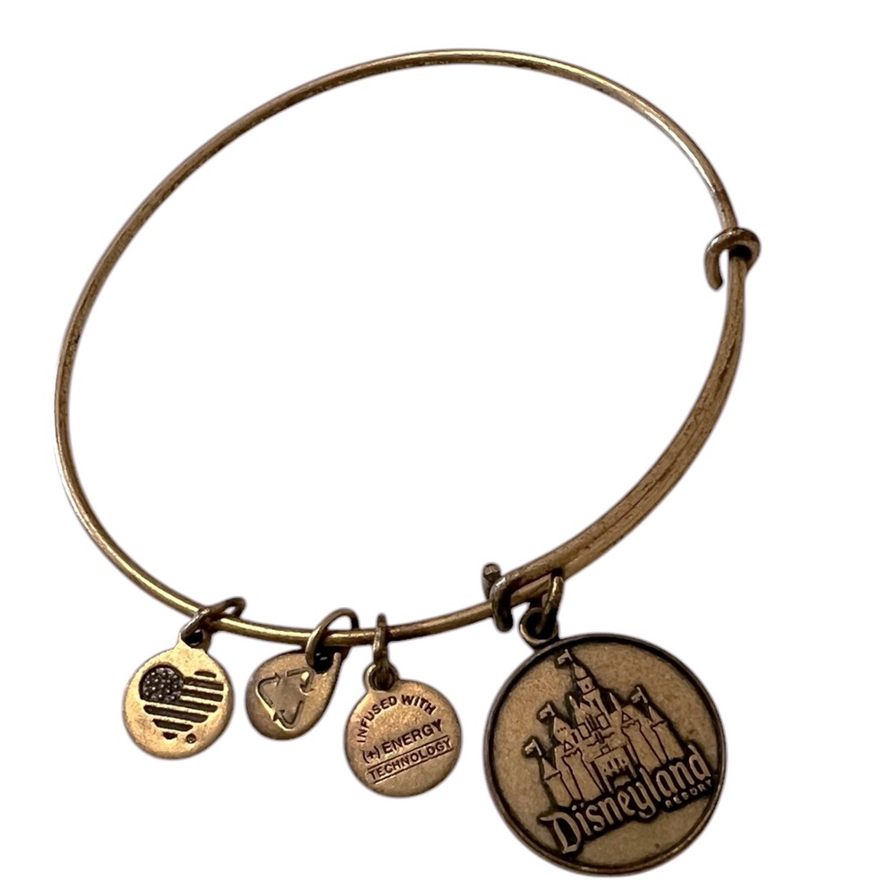 Alex and Ani Disney Bracelet